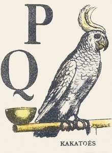 P Q: kaketoes
