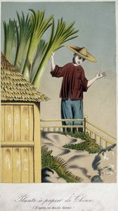Papierfabriek, China - gravure