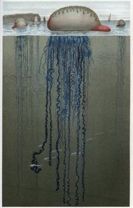 Physalia (Physalia pelagica) - gravure uit 