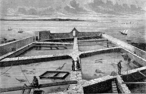 Visserij in Concarneau. Gravure uit 1860