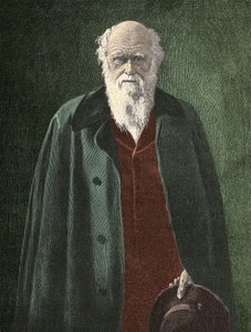 Portret van Charles Darwin (1809 - 1882) door Unknown artist