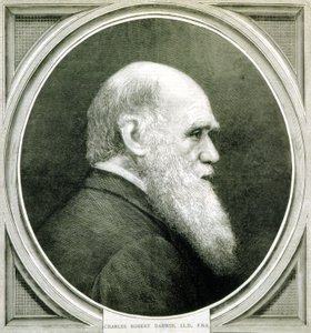 Portret van Charles Darwin (1809 - 1882)