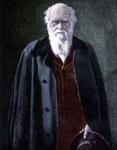 Portret van Charles Darwin, Britse natuuronderzoeker (1809 - 1882) door Unknown artist