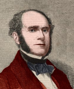 Portret van Fitz-Greene Halleck (1790-1867), Amerikaanse dichter. Gravure in 