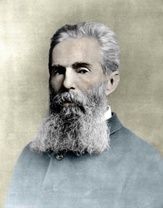 Portret van Herman Melville (1819-1891) Amerikaanse romanschrijver. door Unknown artist