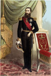 Portret van Leopold II, Koning der Belgen