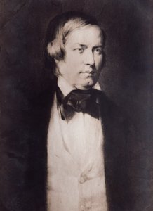 Portret van Robert Schumann (gravure) door Unknown artist