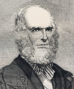 Portret van William Cullen Bryant (1794-1878), Amerikaanse dichter. Gravure in 