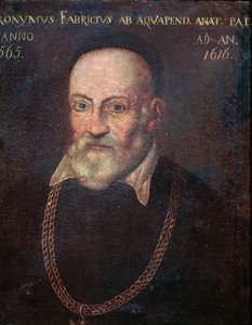 Portret van pionierende anatoom en chirurg Hieronymus Fabricius