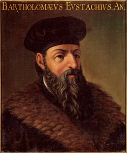 Portret van de Italiaanse anatoom en arts Bartolomeo Eustachi door Unknown artist