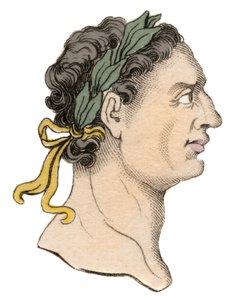Portret van de Romeinse keizer Domitianus (Titus Flavius Domitianus) (51-96 AD) door Unknown artist