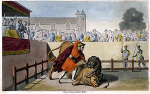 Pepijn de Korte doodt een leeuw die vecht met een stier - gravure door Unknown artist