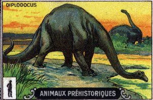 Prehistorisch dier: een diplodocus dinosaurus (chromo) door Unknown Artist