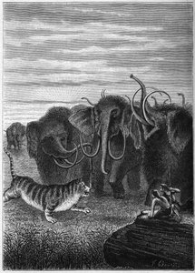 Prehistorie: Mammoeten en reuzenkatten in grotten. Gravure uit "Parijs voor de geschiedenis" door Elie Berthet