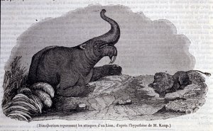 Prehistorie: voorstelling van een Dinotherium, een soort pachyderm, die een leeuwaanval afweert. Gravure uit de 19e eeuw