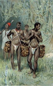 Rubber verzamelen in Congo. Chromolithografie uit de late 19e eeuw
