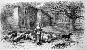 Afbeelding van Jeanne d