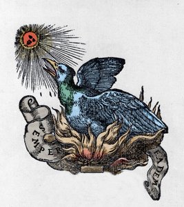 Voorstelling van een Feniks (of phoenix), legendarische vogel, herboren uit zijn as. Gravure van de 19e eeuw door Unknown artist