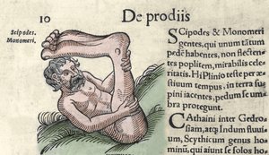 Voorstelling van een Sciapod-monster Gravure uit 