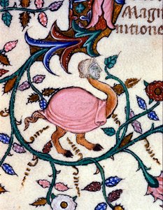 Voorstelling van een monster met een struisvogellichaam en een mensenhoofd. Miniatuur van een 14e-eeuws manuscript. Milaan, Biblioteca Nazionale Braidense. door Unknown artist