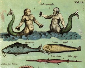 Weergave van een sirene en een triton, een fantastische mariene creatuur beschreven in een atlas van de zoölogie. Detail. 17e eeuw door Unknown artist