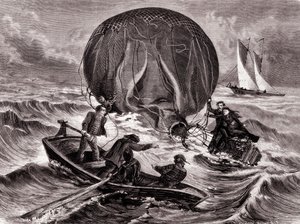 Redding van de Habs-bal, gemonteerd door de heer en mevrouw Durouf. Schipbreuk geleden aan de kust van Engeland op 1 september door Unknown artist