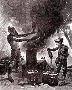 Rubberbereiding of vulkanisatie in het Braziliaanse bos door Unknown artist