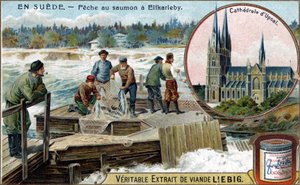 Zalmvissen in Elfkarleby, Zweden. Chromolithografie, Liebig afbeelding