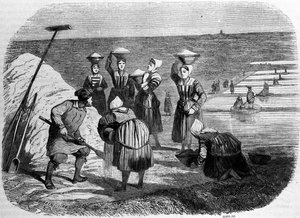 Zoutproductie: vrouwen werken in zoutmoerassen. Gravure uit de 19e eeuw