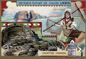 Garnalen en kreeft, met een jonge visvrouw, die haar mand en een groot net draagt - Liebig chromolithografie door Unknown artist
