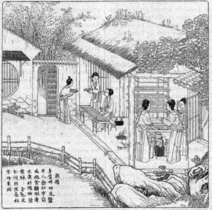 Zijde en zijderups in China: Scheiding van de rups die wil spinnen. Gravure in 
