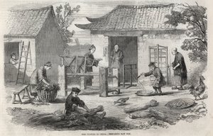 Zijdeproductie in China en de verschillende stadia van de fabricage door Unknown artist