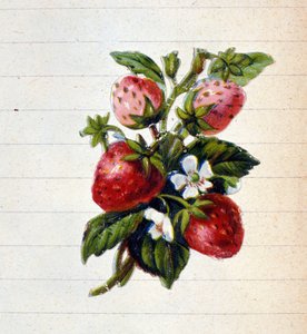 Aardbeien. 19e-eeuwse chromolithografie. door Unknown artist