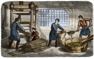Suikerproductie: extractie van sap uit bietpulp. De pulp wordt in zakken gestopt die onder de bak van een hydraulische pers worden gestapeld. Gravure uit 1859 in 