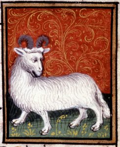De Ram. Miniatuur van een horoscoop. 15e eeuws manuscript. Bibl. Trivulziana, Milaan.