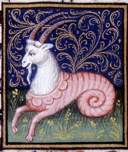 De Steenbok. Miniatuur van een horoscoop. 15e-eeuws manuscript. Bibl. Trivulziana, Milaan.