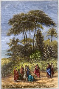 De school van Pythagoras - Pythagoras onder zijn leerlingen in Crotona (gravure 1879) door Unknown artist