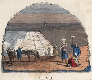 De zoutwinning. 19e-eeuwse illustratie. Bianchetti Collectie door Unknown artist
