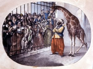 De nieuwsgierige menigte haastte zich om een giraffe achter een hek te zien. Lithografie door Danhaaren. 1829 door Unknown artist