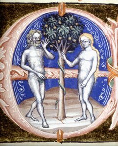 De erfzonde - Miniatuur