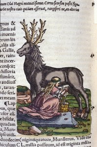 De rendierhandel na Historiae animalium van Konrad Gesner, Tiguri door Unknown artist