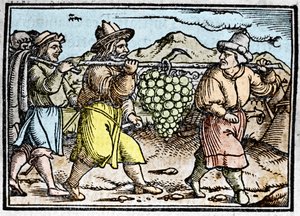 De terugkeer van Jozua en Kaleb met een enorme druiventros uit het land Kanaän (kroniek door Johann Stumpff) door Unknown artist