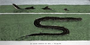 De zeeslang waargenomen in 1872 in de Meridionale Atlantische Oceaan door Unknown artist