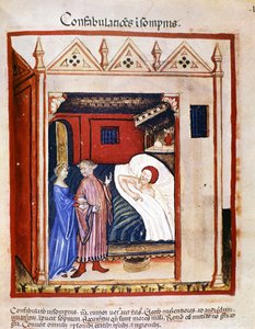 Geneeskundig verhandeling "Tacuinum sanitatis" 14e eeuw: mensen die praten tijdens hun slaap. 14e eeuw. B.N, Wenen door Unknown artist