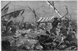Tonijnvissen met de val aan de Provence kust in Frankrijk. Gravure in 
