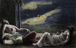 Vampier vleermuis die het bloed van slapende mensen zuigt tijdens volle maan nachten. Gravure van de 19e eeuw