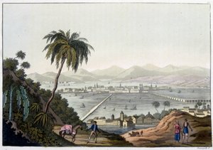 Uitzicht op Mexico-Stad, Mexico. In “Le costume ancien et moderne”