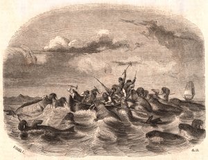 Gezicht op een groep Engelse zeelieden die een kudde walrussen achtervolgen in 1818 voor de kust van Spitsbergen door Unknown