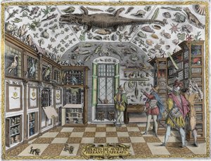 Zicht op het museum (kabinet) van curiositeiten (encyclopedisch museum) van de apotheker Ferrante Imperato (1550 - 1631). Gravure uit 1678. Museum van de Napolitaanse apotheker Ferrante Imperato. door Unknown artist