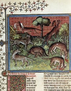 We motten de wolf en al zijn natuur door Unknown artist